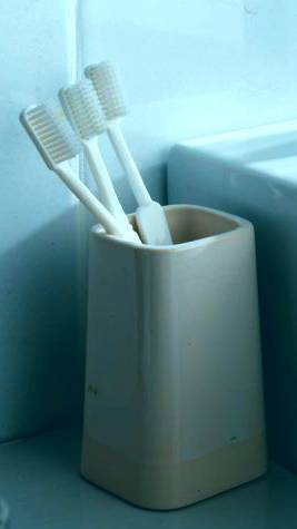 Category of Cleanliness Vocabulary Image 