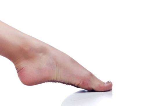 Category of Body Vocabulary Image 