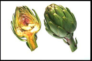 Category of Vegetables Vocabulary Image 