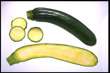 Category of Vegetables Vocabulary Image 