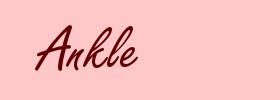 Ankle