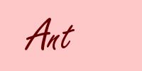 Ant