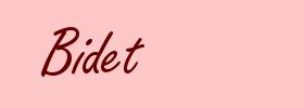 Bidet