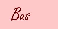 Bus