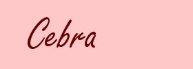 Cebra
