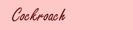 Cockroach
