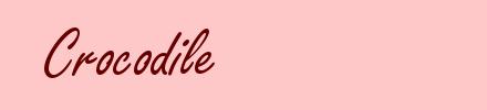 Crocodile