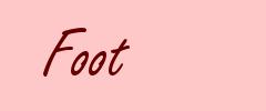 Foot