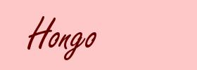 Hongo