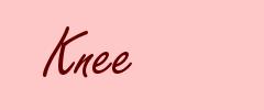 Knee