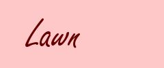 Lawn