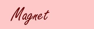 Magnet