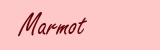 Marmot