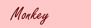 Monkey