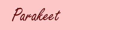 Parakeet
