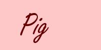 Pig