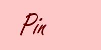 Pin