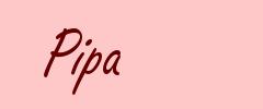 Pipa