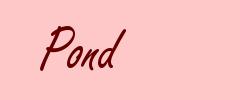 Pond