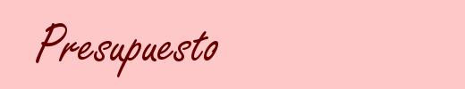 Presupuesto