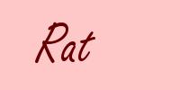 Rat