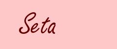 Seta