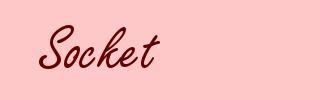 Socket