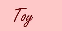 Toy