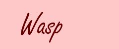Wasp