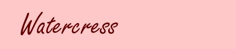 Watercress