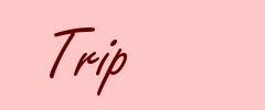 trip